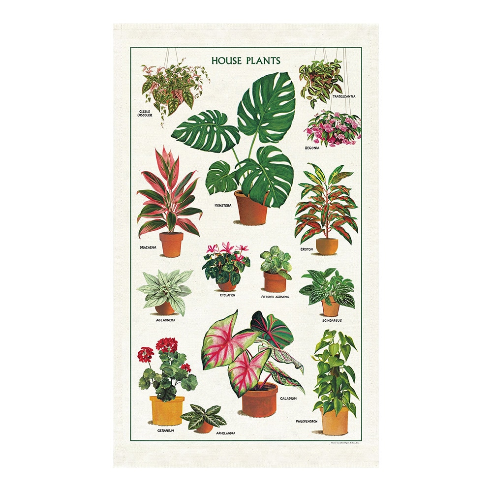 Cavallini, Dish Towel, Cotton, Home & Auto, House Plants, 572188